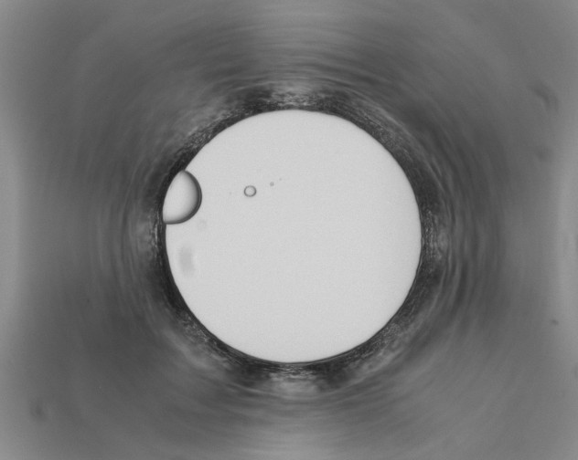 X0000111950603200909071321