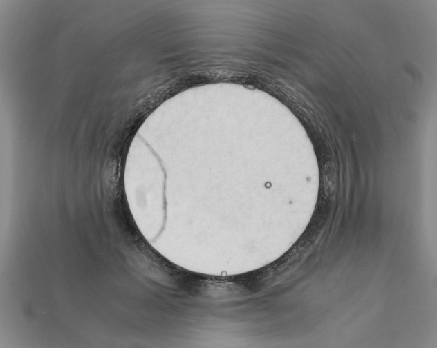 X0000111950605200909071321
