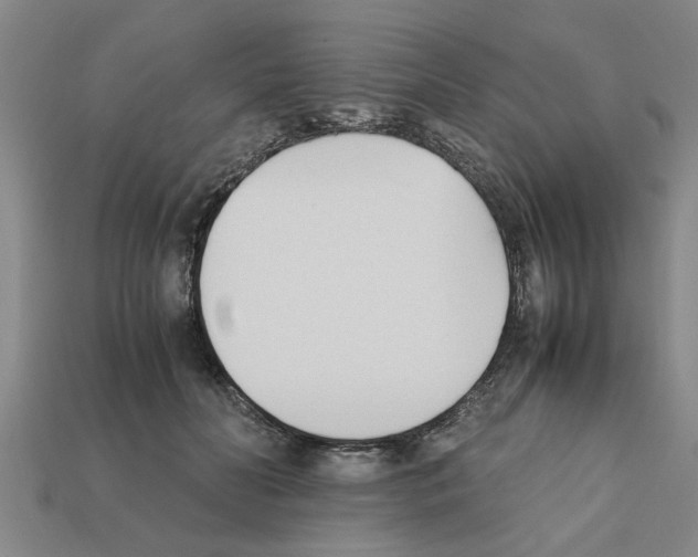 X0000111950606200909071321