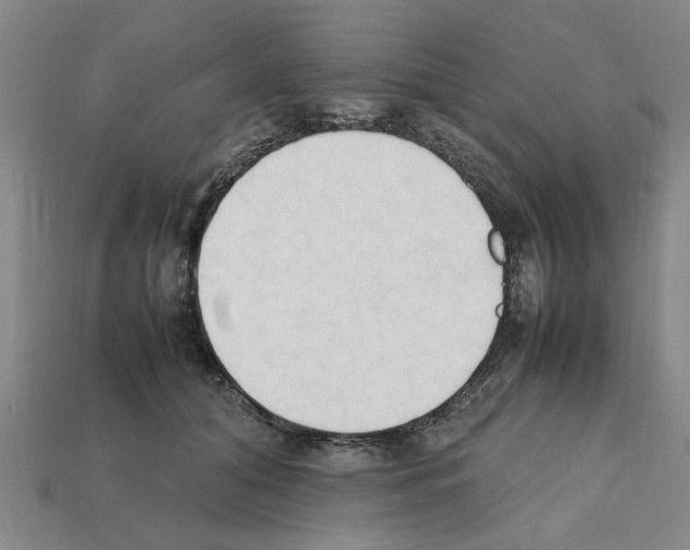 X0000111950608200909071321