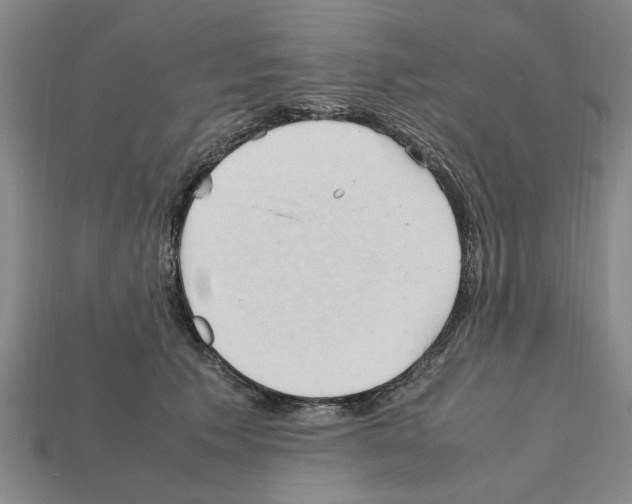 X0000111950609200909071321