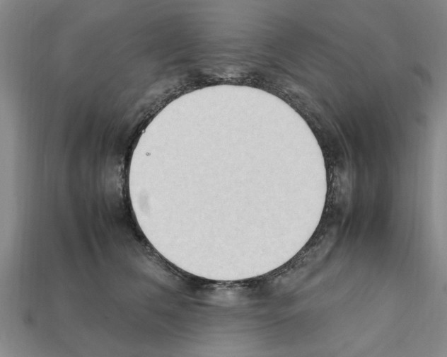 X0000111950612200909071321