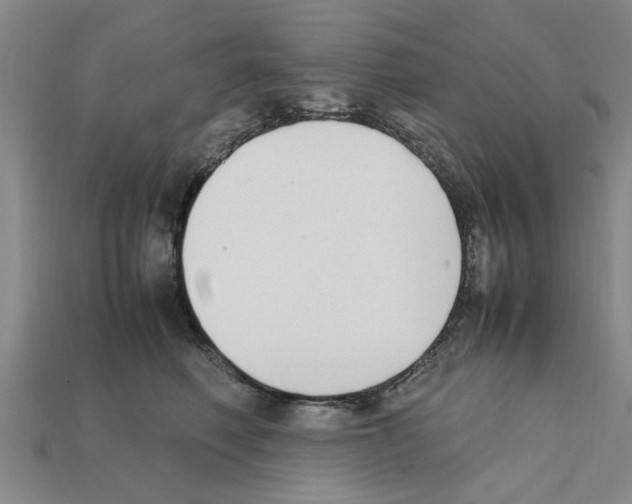 X0000111950614200909071321