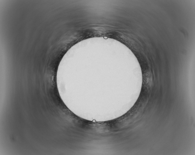 X0000111950615200909071321