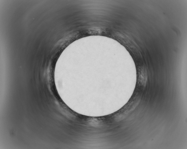 X0000111950616200909071321
