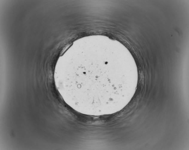 X0000111950617200909071321