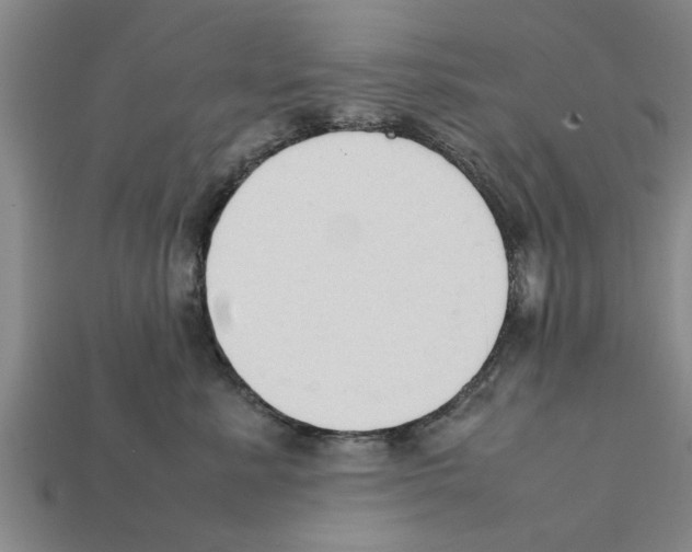 X0000111950619200909071321