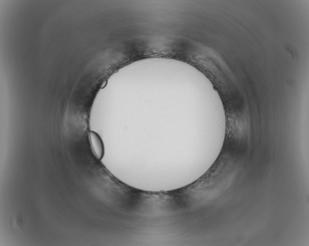 X0000111950621200909071321