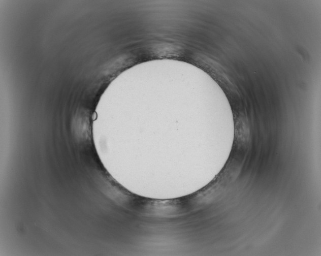 X0000111950622200909071321