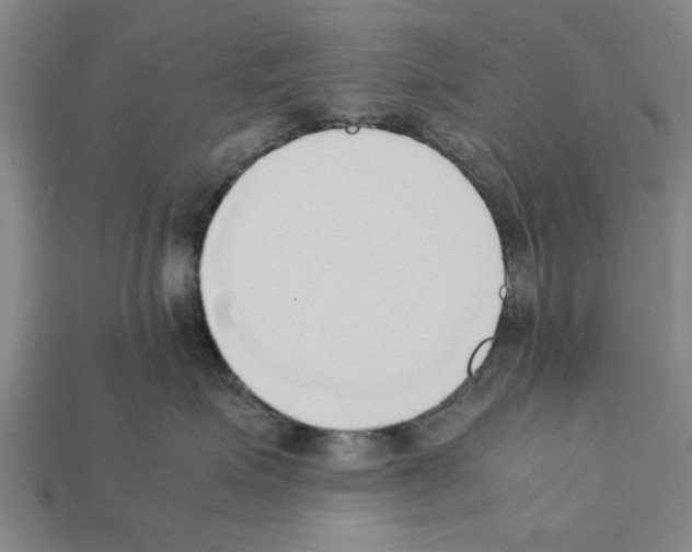 X0000111950623200909071321