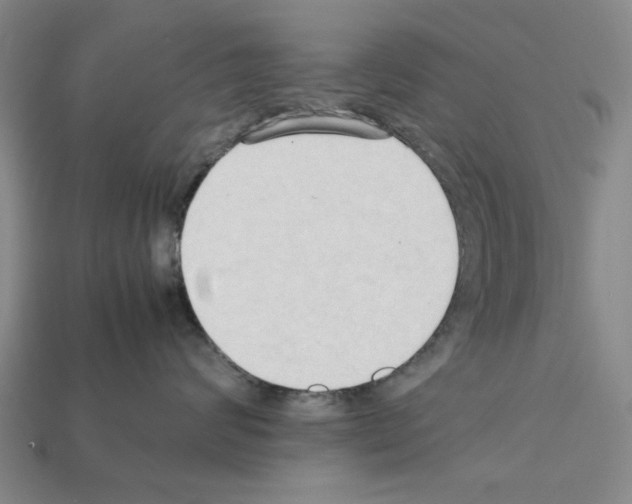 X0000111950624200909071321