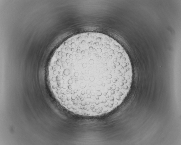 X0000111950626200909071320