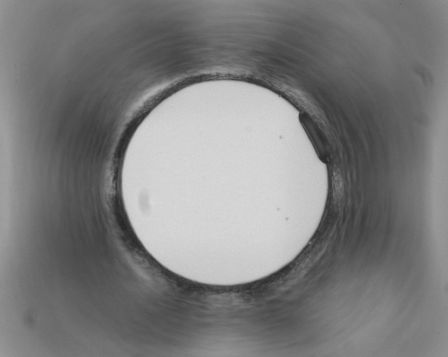 X0000111950628200909071320