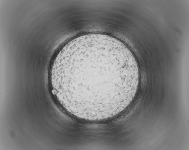 X0000111950629200909071320