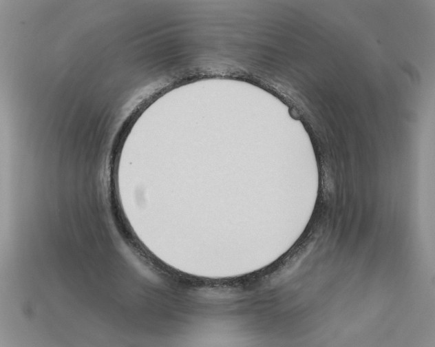 X0000111950630200909071320
