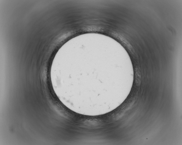 X0000111950631200909071320