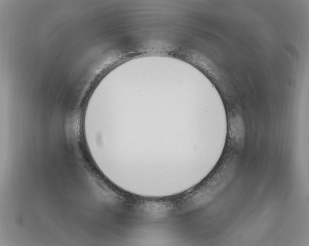 X0000111950632200909071320