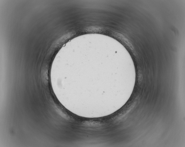 X0000111950633200909071320
