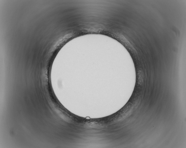 X0000111950634200909071320