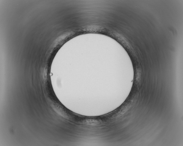 X0000111950636200909071320