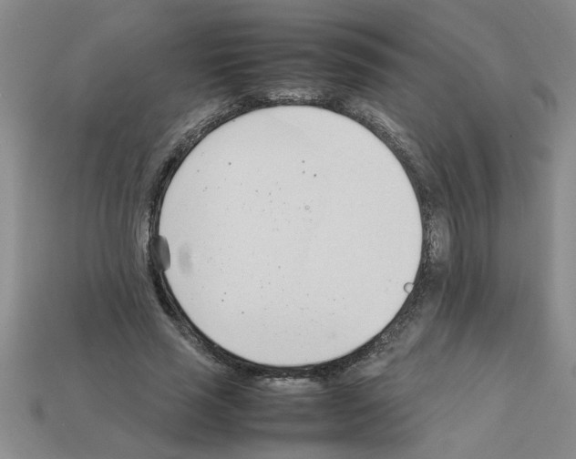 X0000111950637200909071320