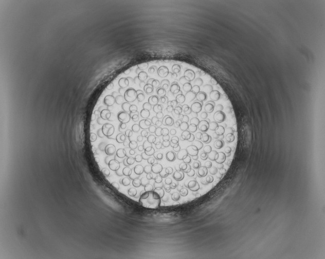 X0000111950638200909071320