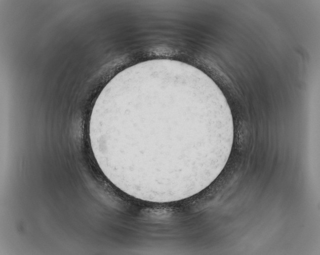 X0000111950639200909071320
