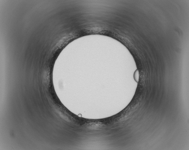 X0000111950642200909071320