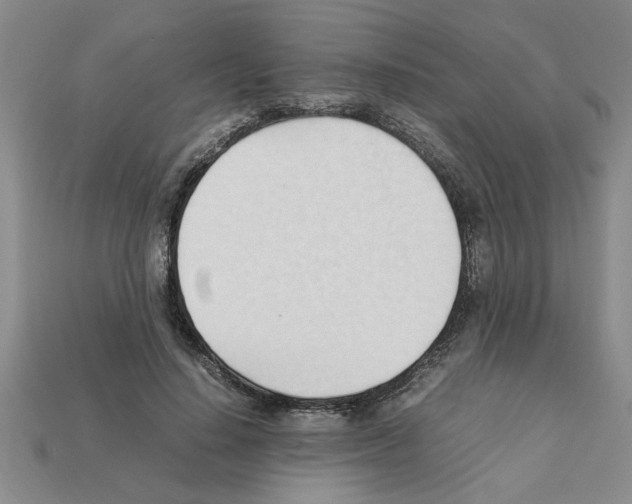 X0000111950644200909071320