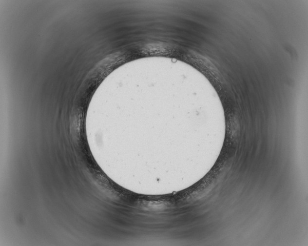 X0000111950645200909071320