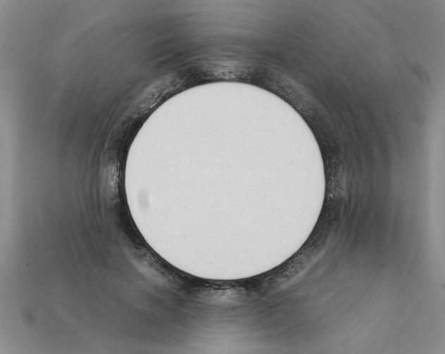 X0000111950646200909071321