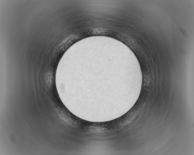 X0000111950648200909071321
