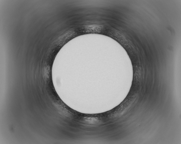 X0000111950649200909071321