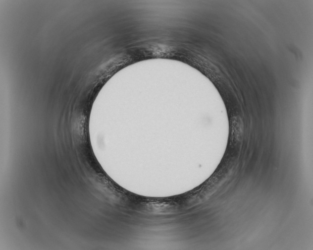 X0000111950650200909071321