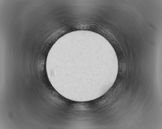 X0000111950652200909071321