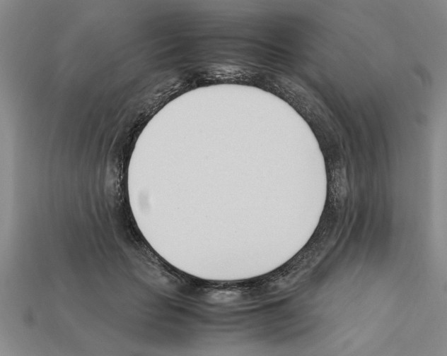 X0000111950653200909071321