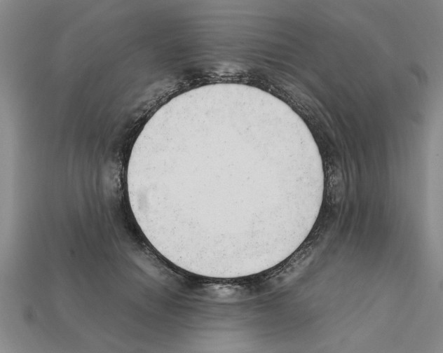 X0000111950654200909071321