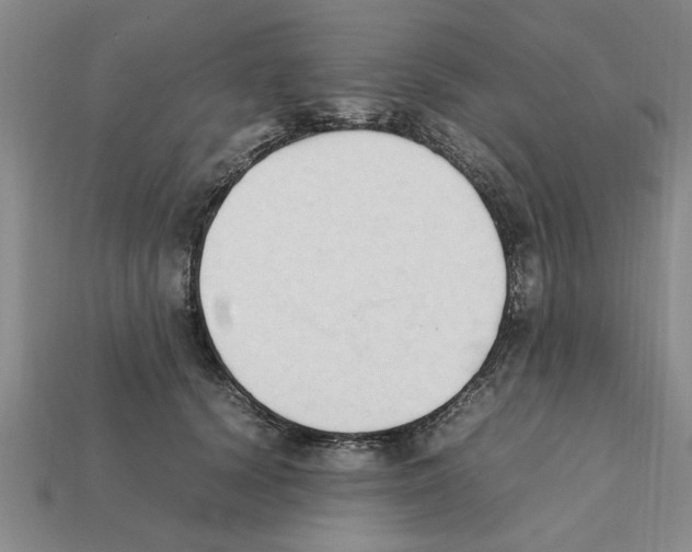 X0000111950656200909071321