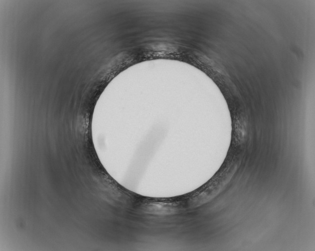 X0000111950657200909071321
