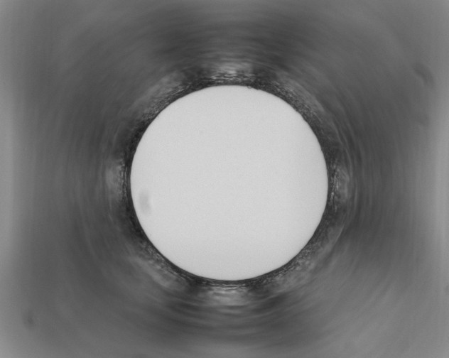 X0000111950659200909071321