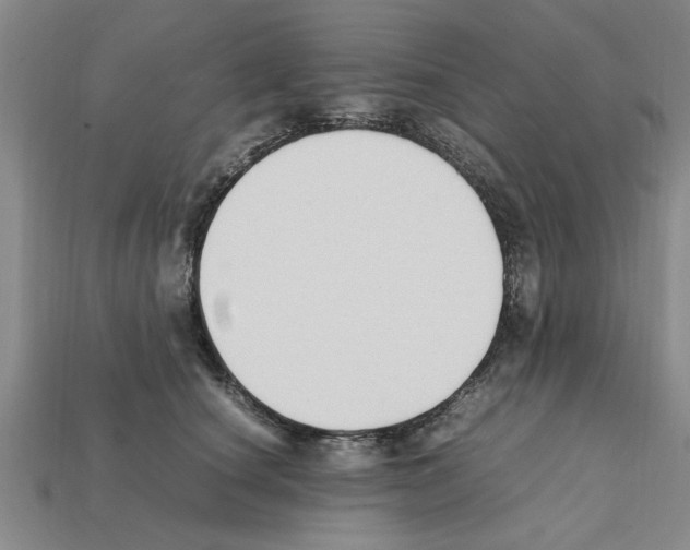 X0000111950660200909071321