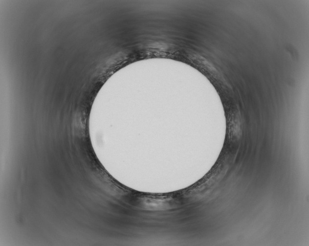 X0000111950661200909071321