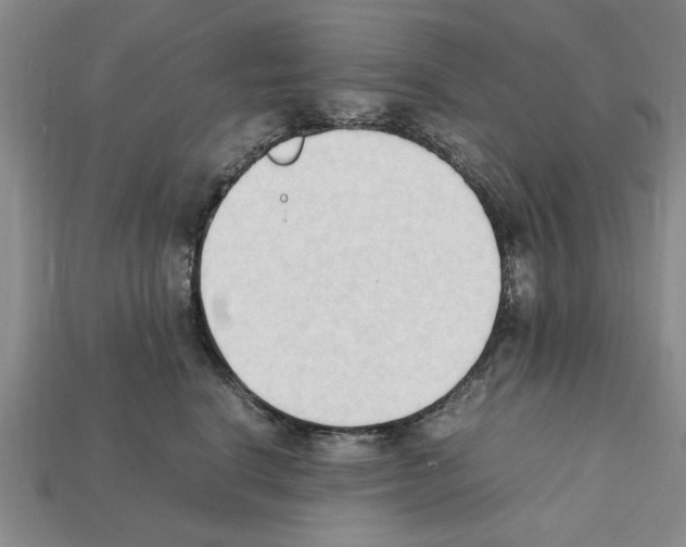 X0000111950664200909071321