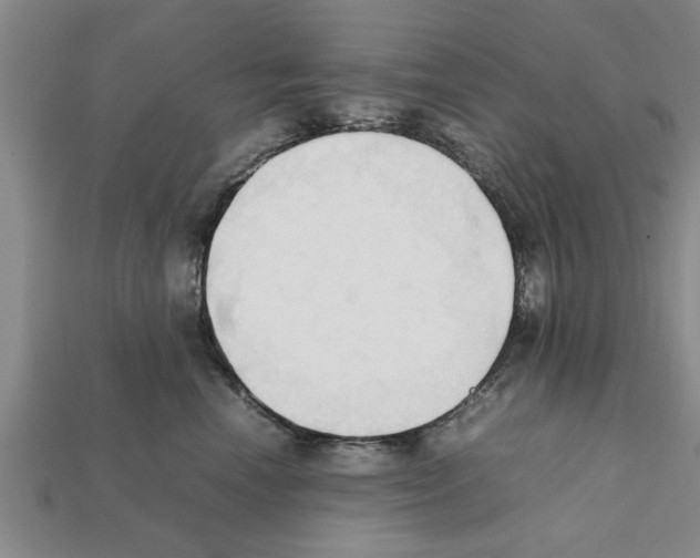 X0000111950666200909071321