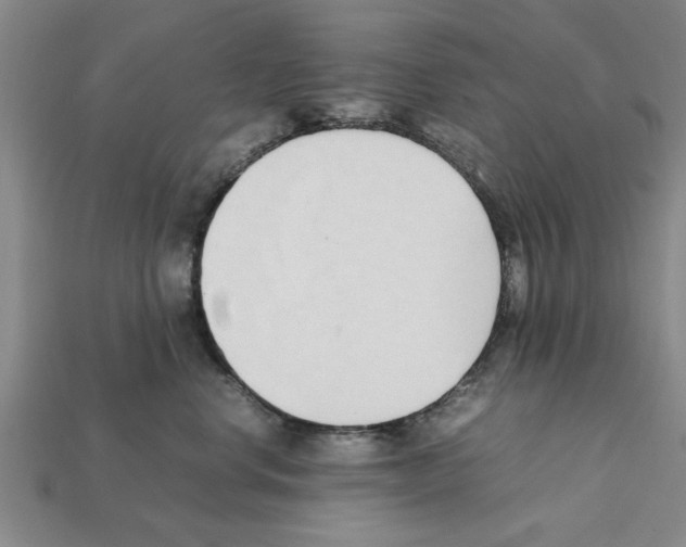 X0000111950668200909071321