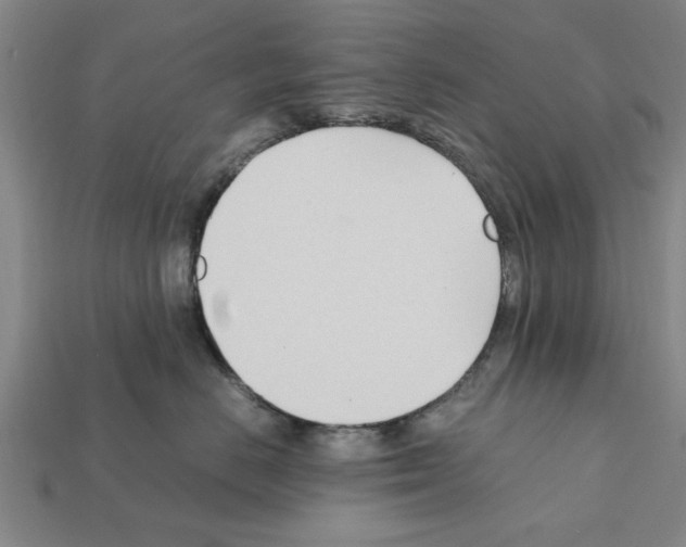 X0000111950670200909071321