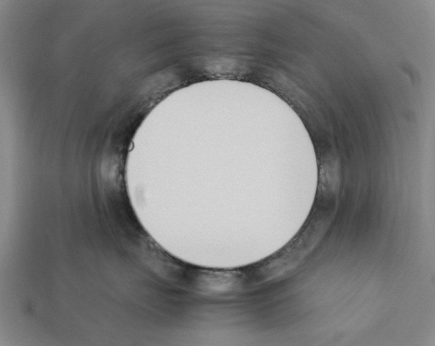 X0000111950671200909071321