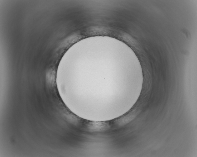 X0000111950672200909071321