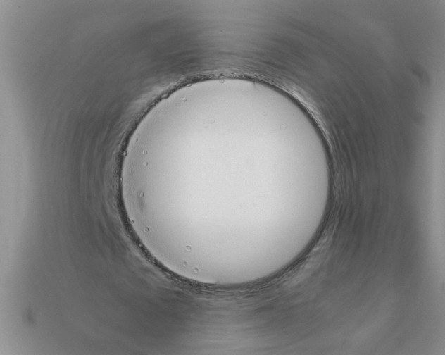 X0000111950673200909071320