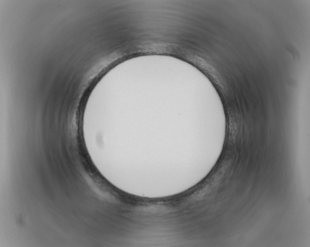 X0000111950674200909071320